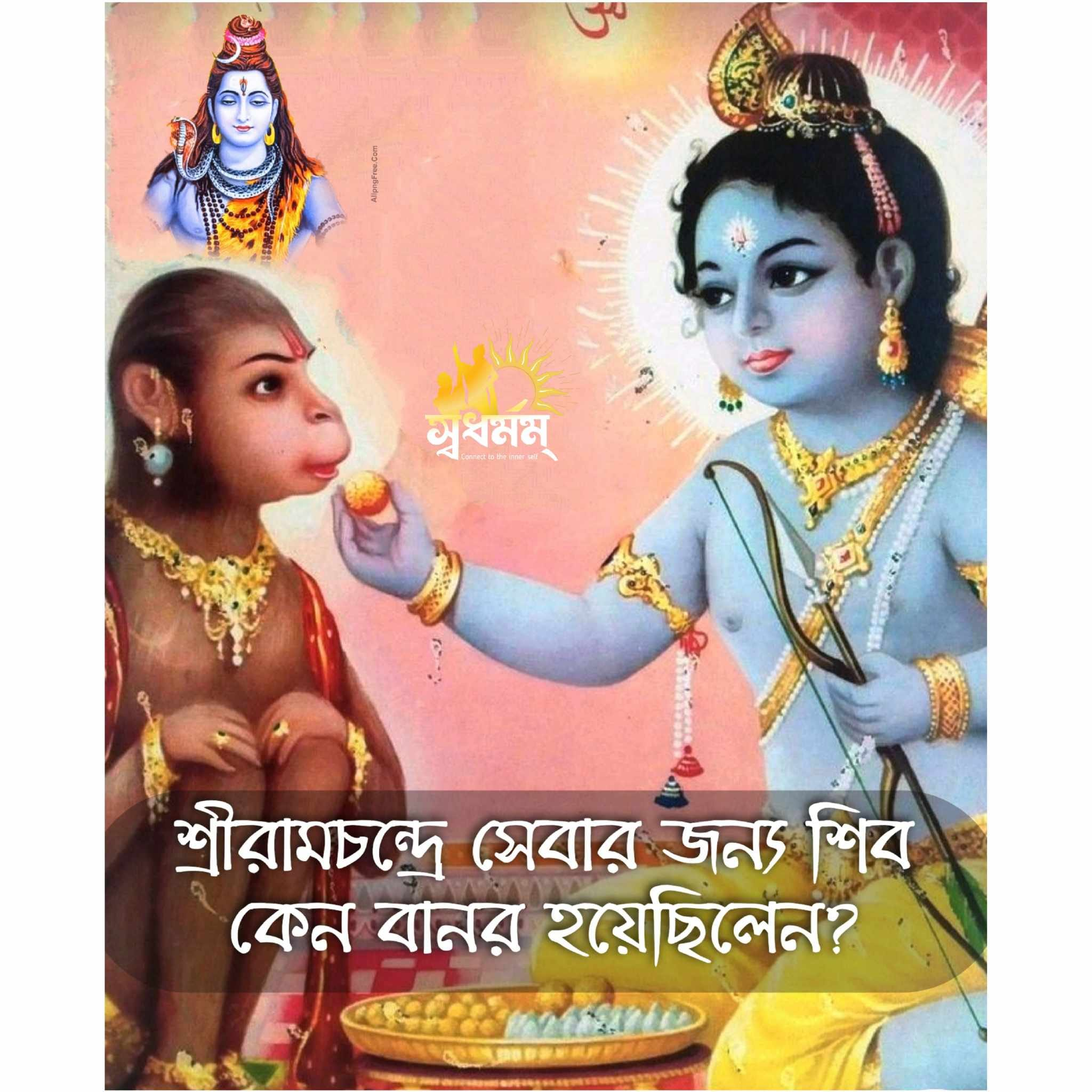 image_2024-04-29_132106223 image_2024-04-29_132106223