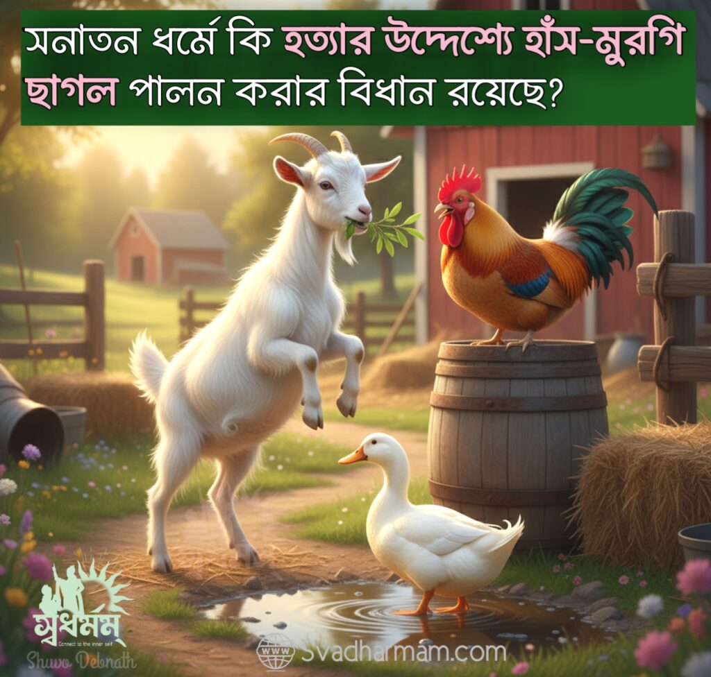 সনাতন ধর্মে কি হত্যা বা ভক্ষণের উদ্দেশ্যে হাঁস-মুরগী ছাগল পালন করার বিধান রয়েছে? 2 - Svadharmam 20250924 150940 Svadharmam