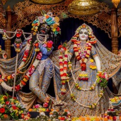 Gallery 6 - Svadharmam 49192701237_892b15317e_b