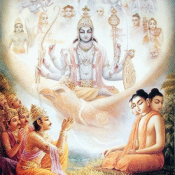 Gallery 7 - Svadharmam image_2024-05-08_163732813